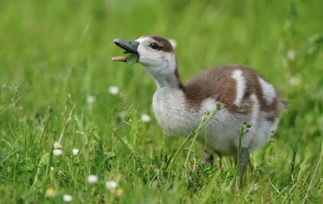 mmmhhhh - Salat! | Foto: Moni Bordt