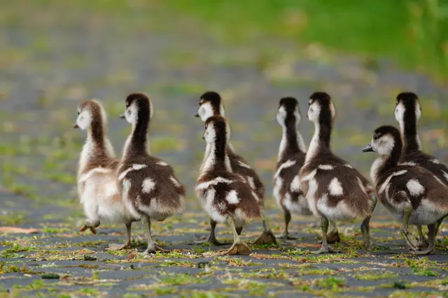 ...genug Model gestanden... wir hauen jetzt mal ab ins Wasser... | Foto: Moni Bordt
