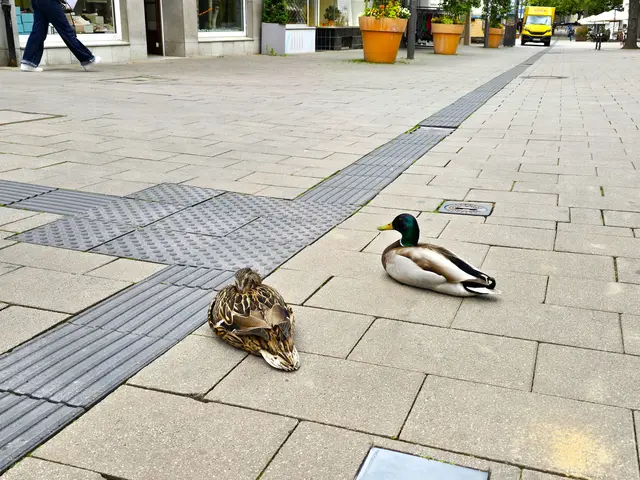 Foto: Heidrun Rosenberger