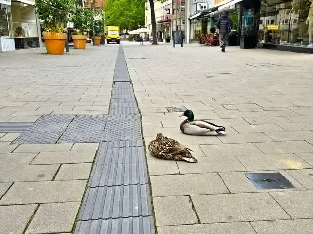 Foto: Heidrun Rosenberger