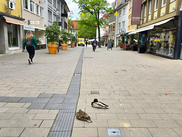 Foto: Heidrun Rosenberger
