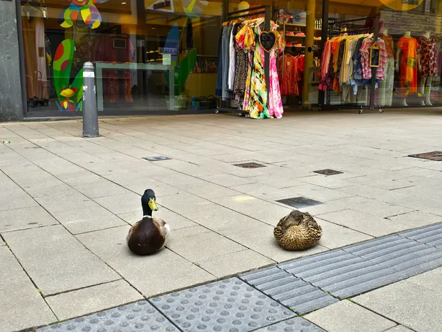Foto: Heidrun Rosenberger