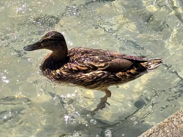 Foto: Heidrun Rosenberger