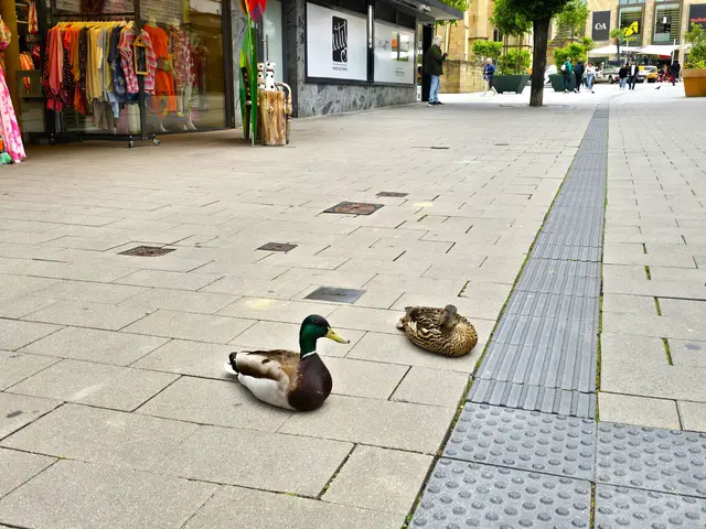 Foto: Heidrun Rosenberger