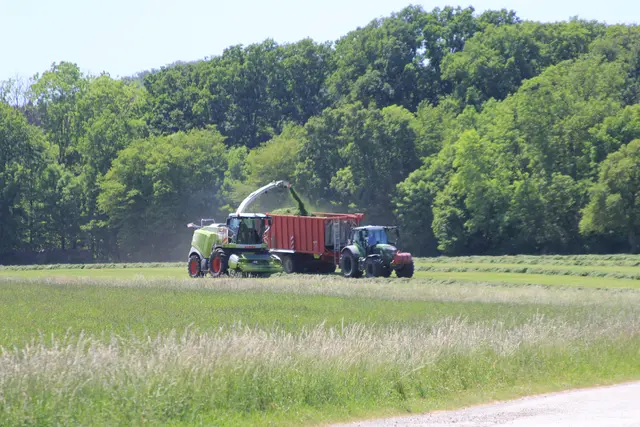 auf ins Kupfermoor. Wieder auf dem Rückweg.