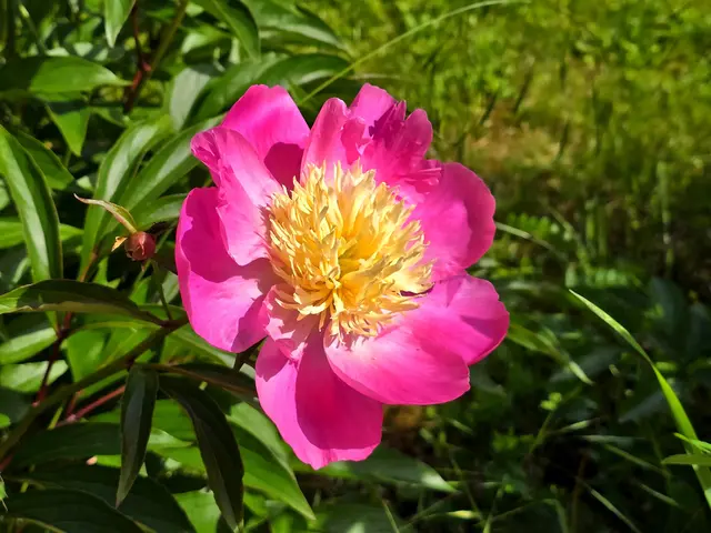 Foto: Heidrun Rosenberger
