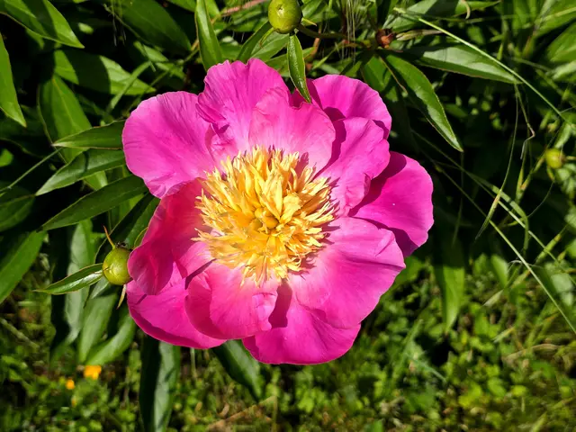 Foto: Heidrun Rosenberger