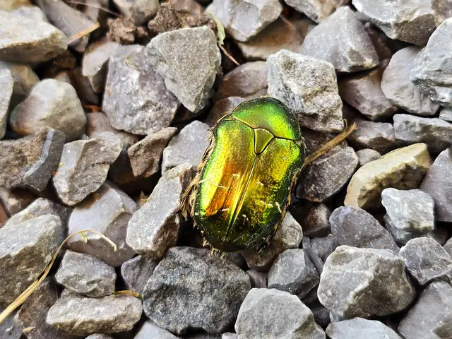 Foto: Heidrun Rosenberger
