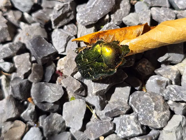 Foto: Heidrun Rosenberger