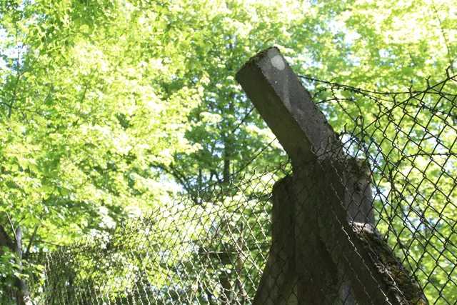 auf ins Kupfermoor