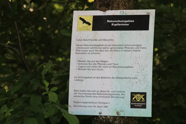 auf ins Kupfermoor. Da ist es🌞