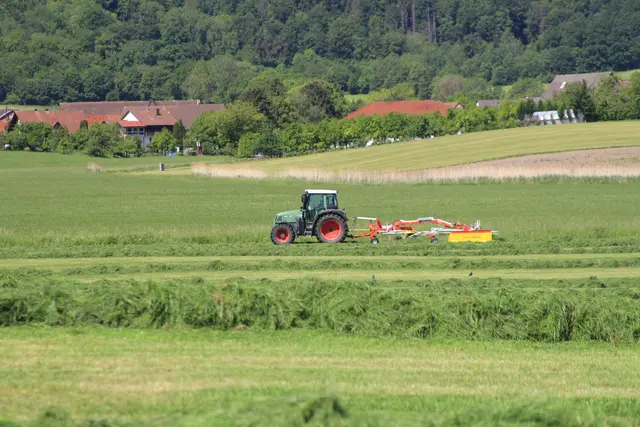auf ins Kupfermoor