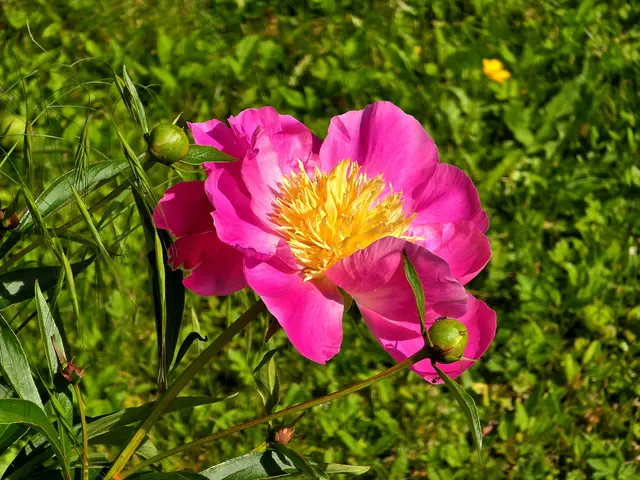 Foto: Heidrun Rosenberger