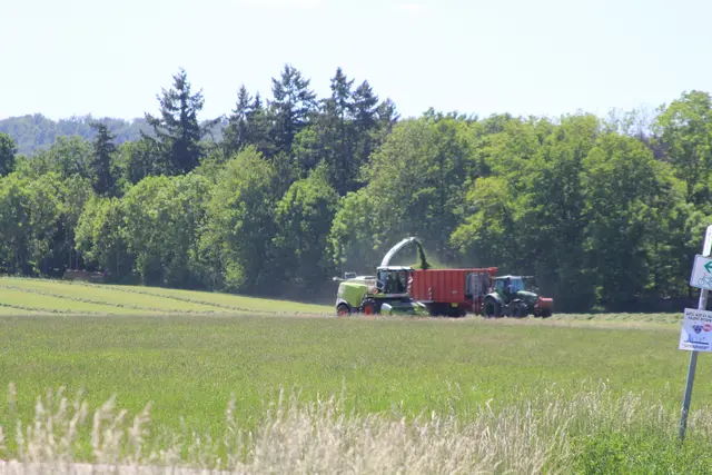 auf ins Kupfermoor. Wieder auf dem Rückweg.