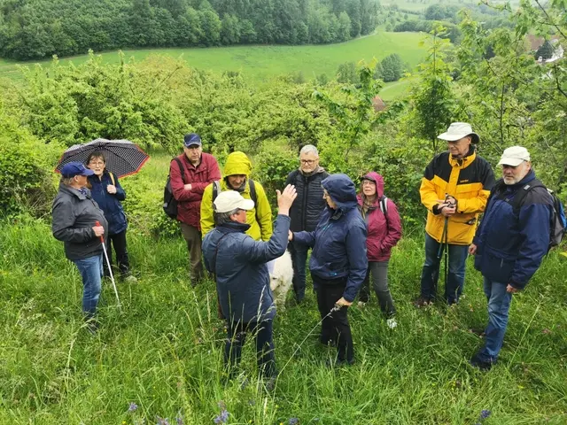 Eine Gruppe Menschen steht im hohen grünen Gras einer Wiese. Im Hintergrund stehen sattgrüne Büsche, darüber ein bewaldeter Hang. Die Personen tragen wetterfeste Kleidung, Mützen, Hüte und eine Person hält einen Regenschirm. Die Person in der Bildmitte hebt den Arm; sie scheint den übrigen Personen die Landschaft zu erläutern.