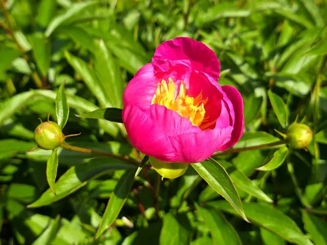 Foto: Heidrun Rosenberger