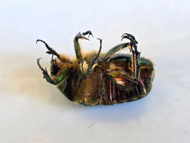 Foto: Heidrun Rosenberger