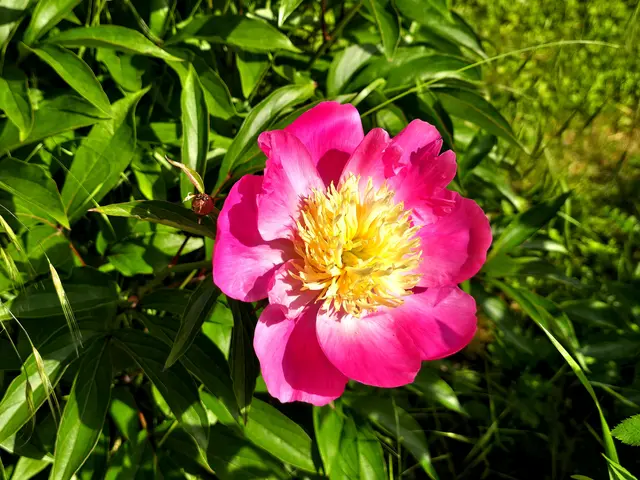 Foto: Heidrun Rosenberger