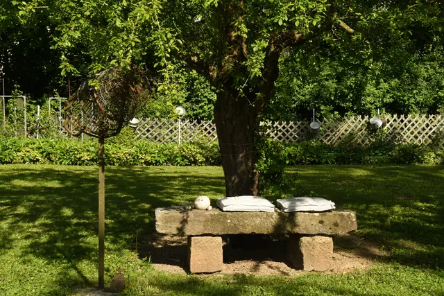 Schöne Steinbank unter einem Baum | Foto: JuKo