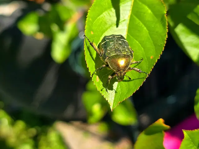 Foto: Heidrun Rosenberger