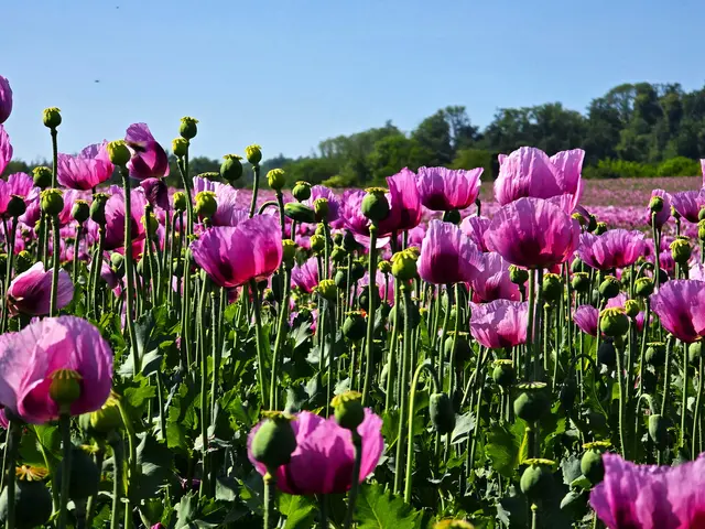 Foto: Heidrun Rosenberger