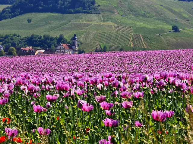 Foto: Heidrun Rosenberger