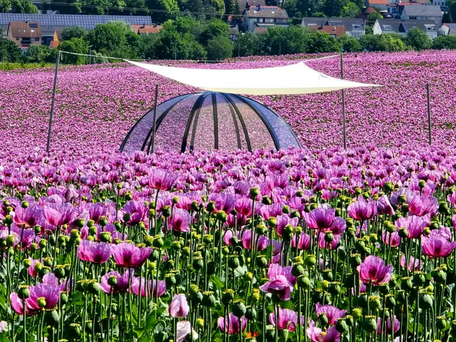 Foto: Heidrun Rosenberger