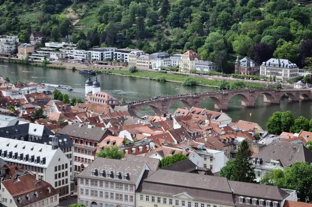 Blick über Heidelberg und auf die Karl-Theodor-Brücke oder auch alte Brücke. | Foto: Daniela Somers