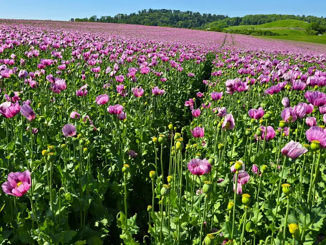 Foto: Heidrun Rosenberger