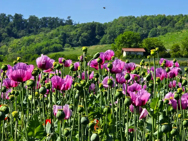 Foto: Heidrun Rosenberger