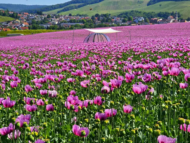 Foto: Heidrun Rosenberger