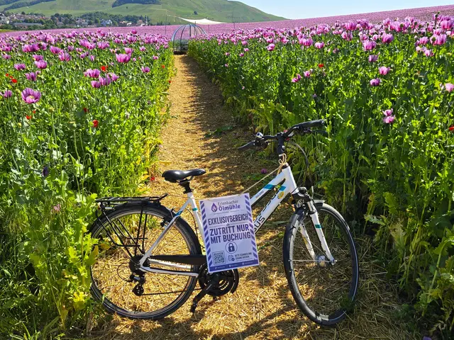 Foto: Heidrun Rosenberger