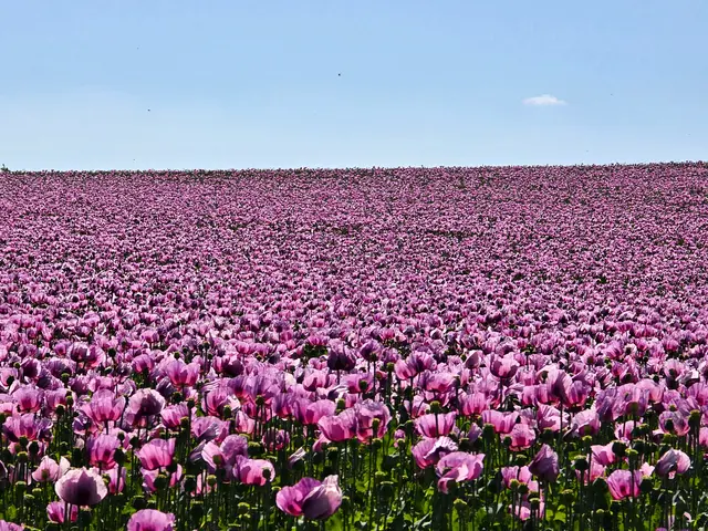Foto: Heidrun Rosenberger