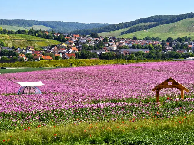 Foto: Heidrun Rosenberger
