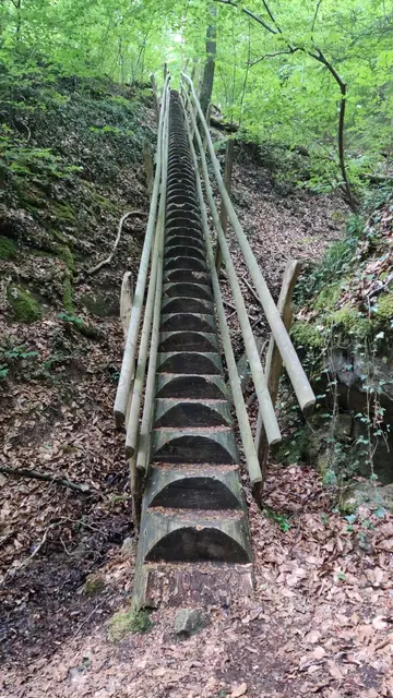 Himmelsleiter - fast ohne Grenzen nach oben  | Foto: Christina Hansel