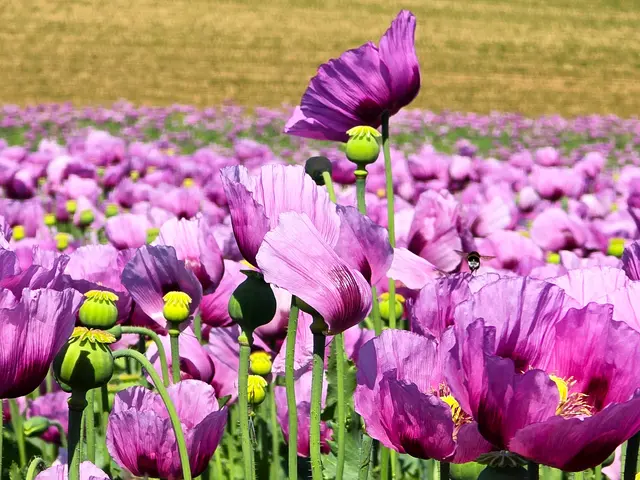 Foto: Heidrun Rosenberger