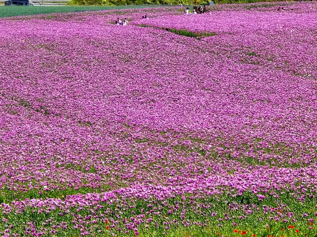 Foto: Heidrun Rosenberger