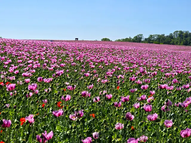 Foto: Heidrun Rosenberger