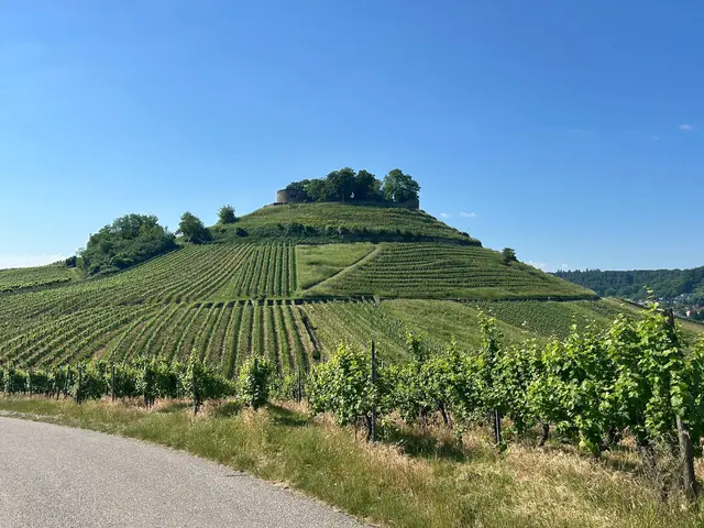 Der Burgberg in voller Pracht | Foto: Albverein Weinsberg