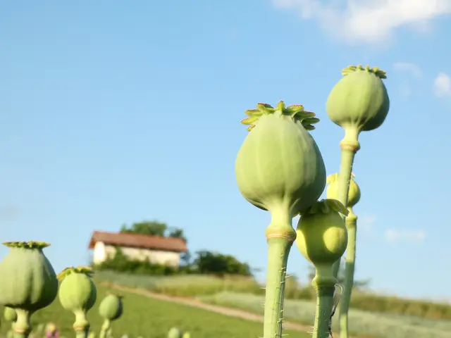 Foto: sigischlottke