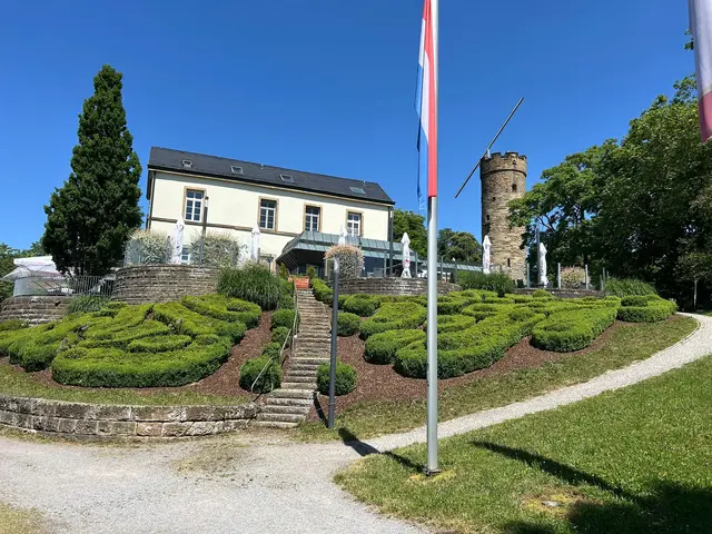 Der Wartberg | Foto: Albverein Weinsberg