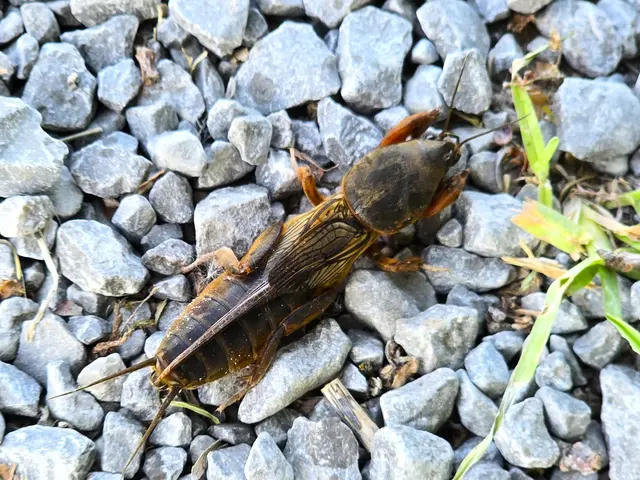 Foto: Heidrun Rosenberger