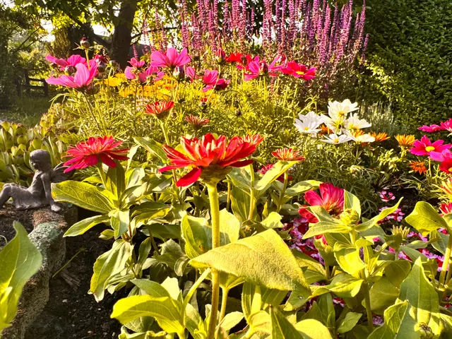 Foto: Heide Böllinger aus Bad Friedrichshall
