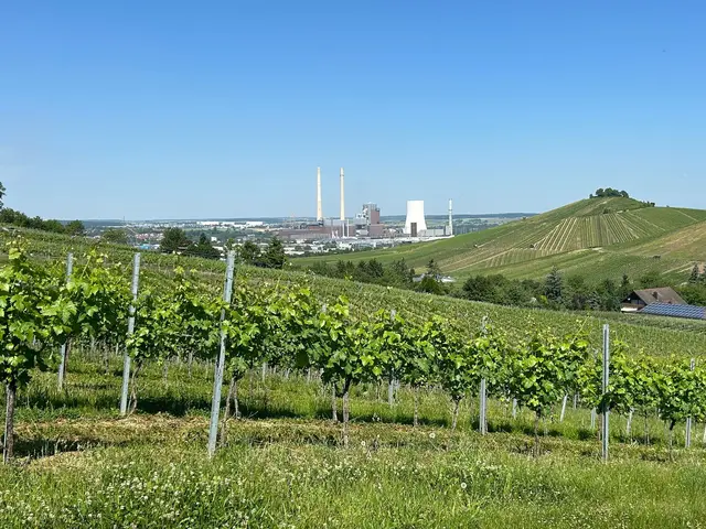 Blick zur ENBW | Foto: Albverein Weinsberg
