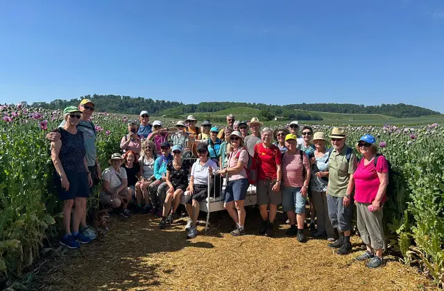 Ein Bett im Mohnfeld | Foto: Albverein Weinsberg