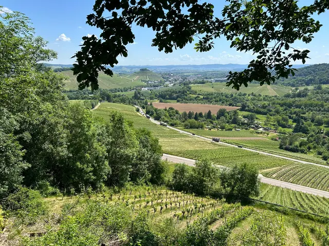 Ausblick aufs Weinsberger Tal  von der Lemppruhe  | Foto: Albverein Weinsberg