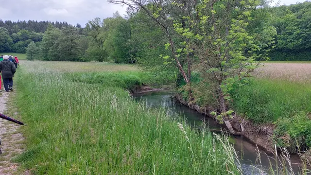 Die Kessach, ein 26,4 km langer Bach | Foto: Elfriede Baier 