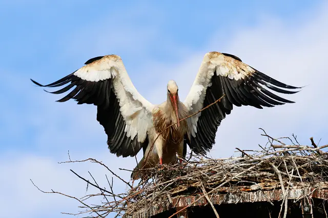 So ein Schmutzfink ;-) | Foto: UD