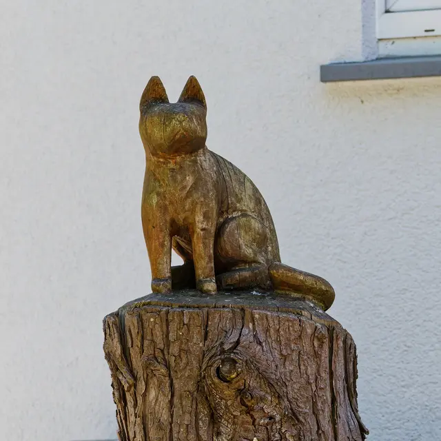 Am Wegesrand
 | Foto: WKY