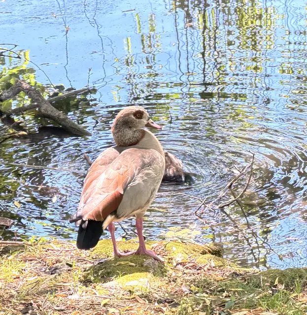 Foto: Heide Böllinger aus Bad Friedrichshall